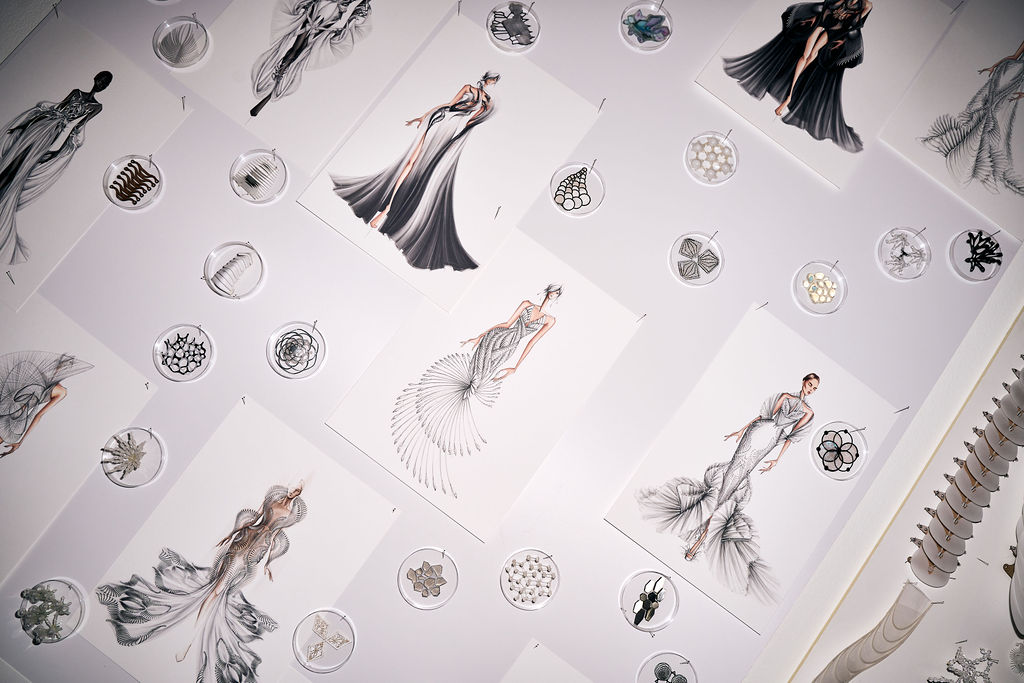Sketches pinned between petri dishes of material studies