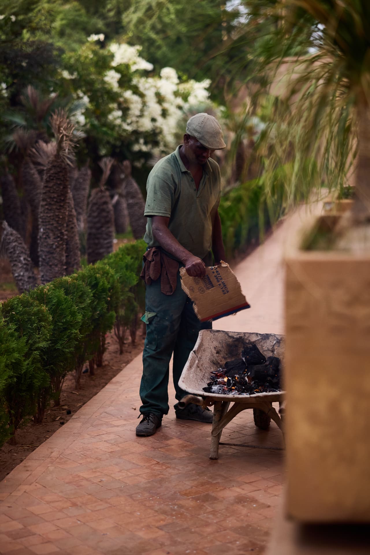 Gardener wheeling charcoal along a flowering garden path