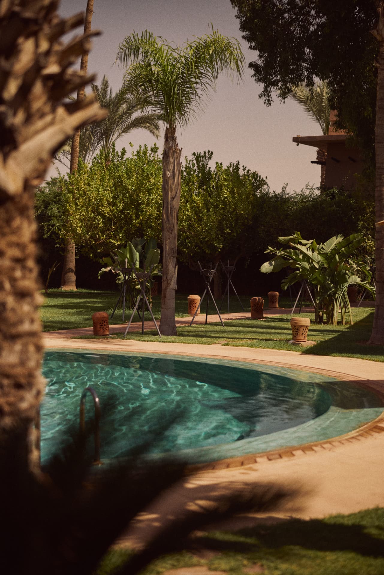 Curved pool with terracotta lanterns among the palms