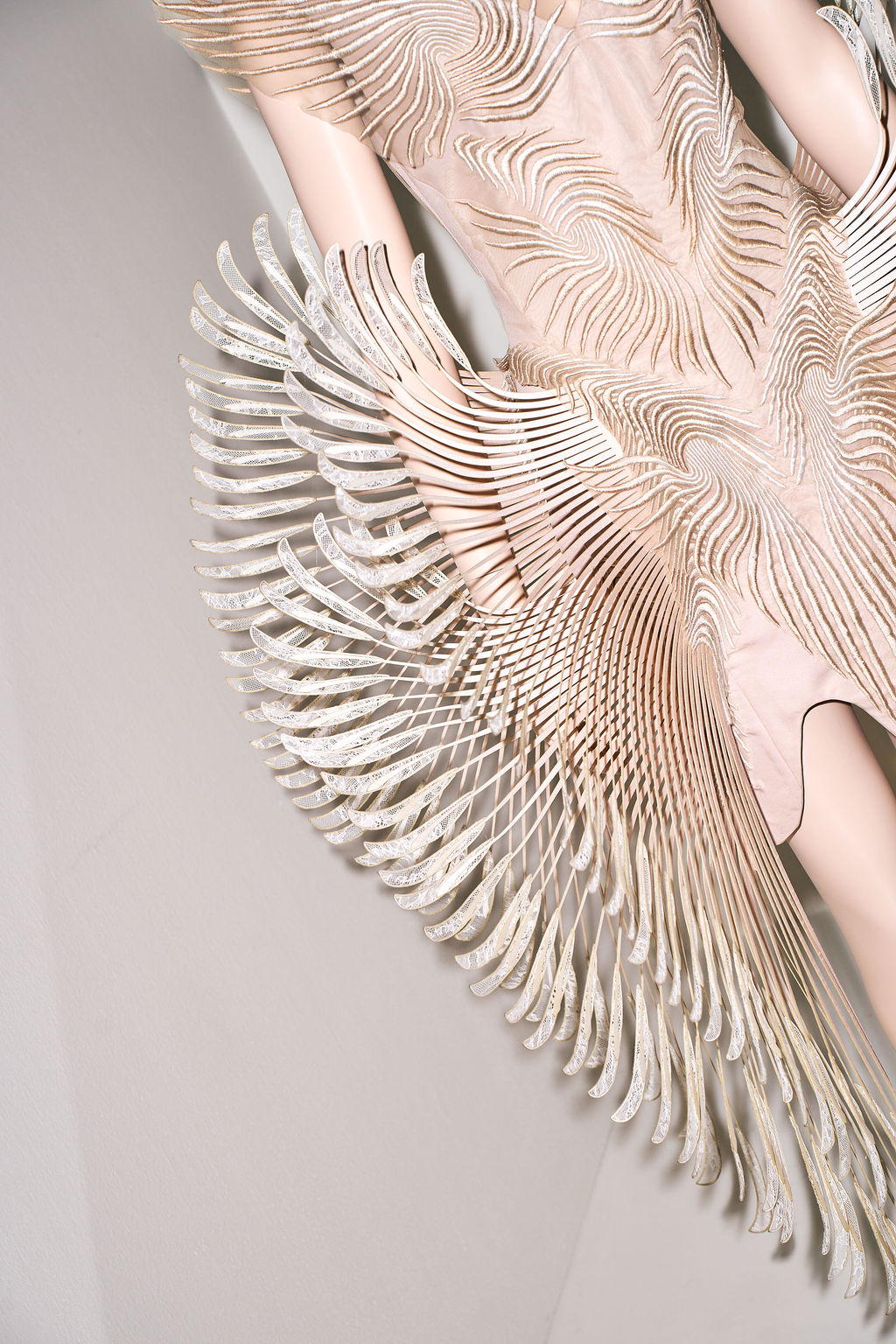 Laser cut lace fanning out from a blush dress