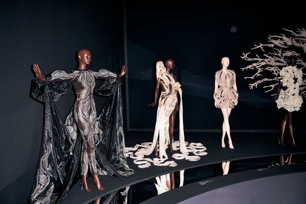Couture silhouettes lit against a dark exhibition wall